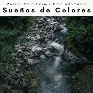 A h o r a: Sueños de Colores - Musica Para Dormir Profundamente
