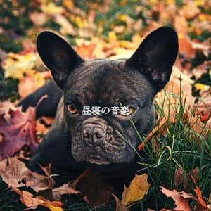 昼寝の音楽 - Tranquilo Trabajar desde Casa