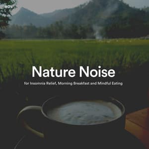 #01 Nature Noise for Insomnia Relief, Morning Breakfast and Mindful Eating - The Nature Soundscapes