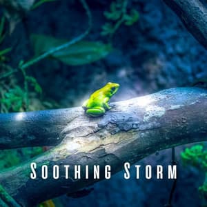 Soothing Storm: Heavy Rain and Frog Nocturnes for Sleep - Thundertalk