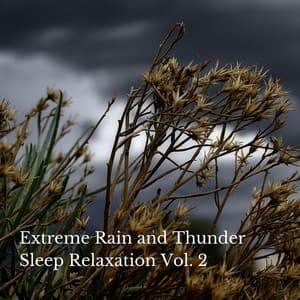 Extreme Rain and Thunder Sleep Relaxation Vol. 2 - Sleep Playlist