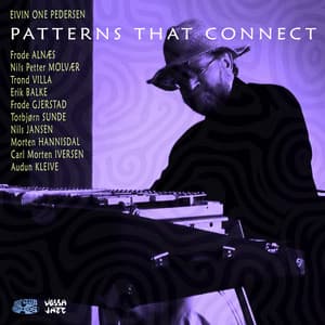 Patterns That Connect - Eivin One Pedersen