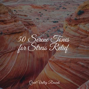 50 Serene Tones for Stress Relief - Spa Music Collective