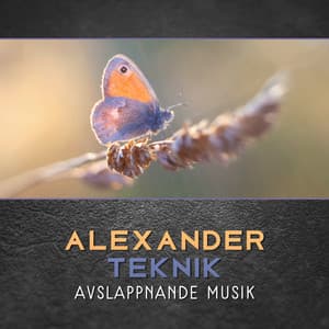 Alexander teknik - Klubb med hälsosam avkoppling