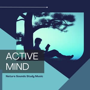 Active Mind - Nature Sounds Study Music - Exam Study Nature Music Nature Sounds
