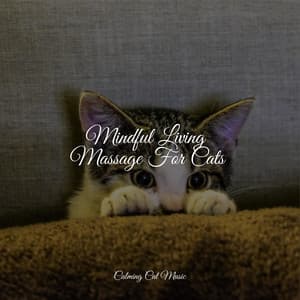 Mindful Living Massage For Cats - Relaxmycat