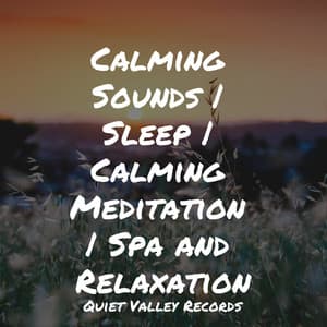 Calming Sounds | Sleep | Calming Meditation | Spa and Relaxation - Mother Nature FX