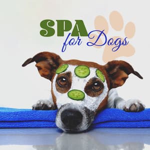 Spa for Dogs: Pampering Time for Dogs, Relaxation Music, Dog SPA Music - Pet Relax Academy