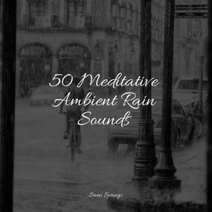 50 Meditative Ambient Rain Sounds - Meditation Relaxation Club