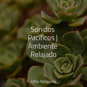 Sonidos Pacíficos | Ambiente Relajado - Música Para Dormir Inspirada En El Espacio