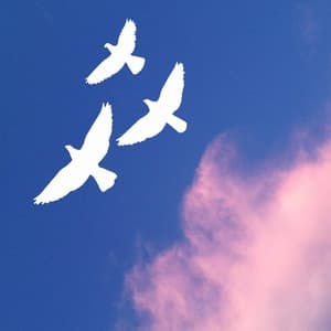 Trio Jazz - Bgm for Summer Momentums - Chillout Jazz Deluxe