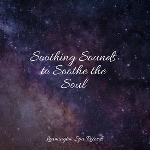 Soothing Sounds to Soothe the Soul - Natural Sample Makers