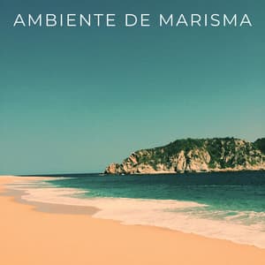Ambiente De Marisma - Proyecto Naturaleza Ambiental