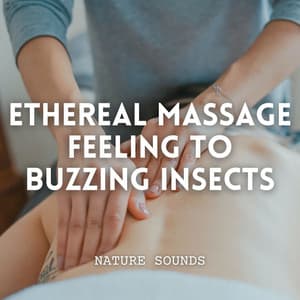 Nature Sounds: Ethereal Massage Feeling to Buzzing Insects - Nature TV