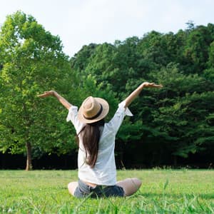 Serenity Symphony: Nature's Creek and Birds Relaxation - Bird Sound Collectors