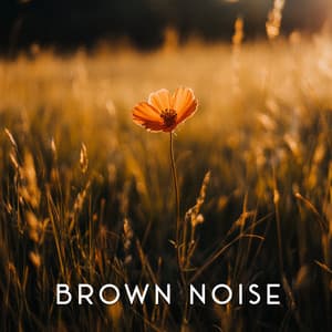 Cozy Lull - Deep Sleep Brown Noise