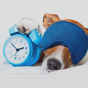 Ambient Soundscapes: Peaceful Music for Dogs to Sleep - Relax My Dog Music