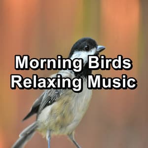 Morning Birds Relaxing Music - Bird Sounds 2016
