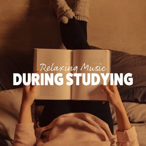 Relaxing Music During Studying: Pure Focus, Study Music for Stress Relief, Mindfulness - Study Music Club
