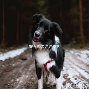 安らぎのささやき - Fun Jazz