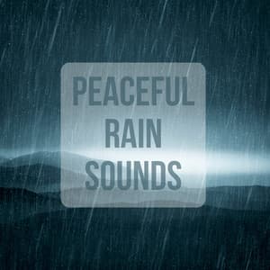 Peaceful Rain Sounds - The Rain Library