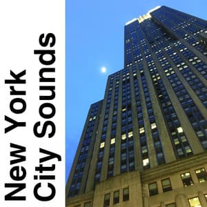 New York City Sounds - Field Recording Collectors