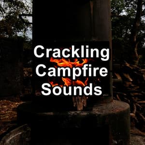 Crackling Campfire Sounds - Yoga Tribe