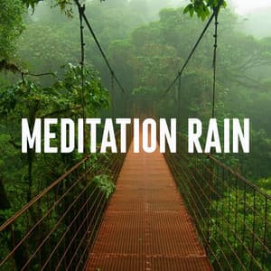 Meditation Rain - Rain Sounds Lab