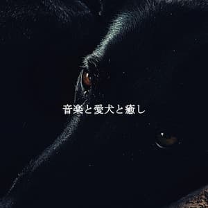 音楽と愛犬と癒し - Classic Instrumental Jazz