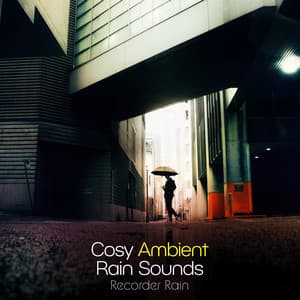 Cosy Ambient Rain Sounds - Recorder Rain