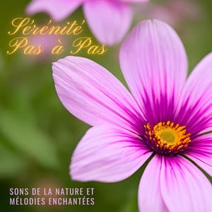 Sérénité Pas à Pas: Sons de la Nature et Mélodies Enchantées - Sérénité Musique Spa