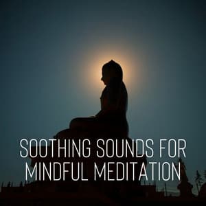 Soothing Sounds for Mindful Meditation - Quiet Meditation Music