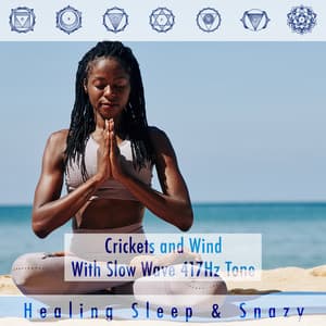 Crickets And Wind With Slow Wave 417hz Tone - Healing Sleep