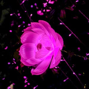 12AM Bedtime Ballads: Brainwave Flow Soundscapes - White Noise Therapy