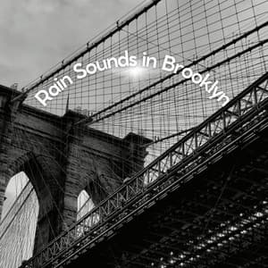 Rain Sounds in Brooklyn - Meditation Rain Sounds