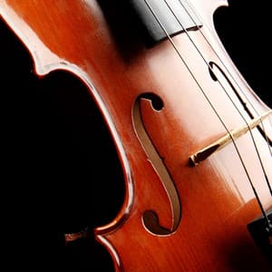 Orchestra of Serenity: Relaxation Tunes - Charles Anderson