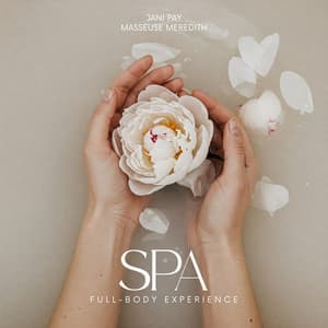 Spa Full-Body Experience - Jani Pay