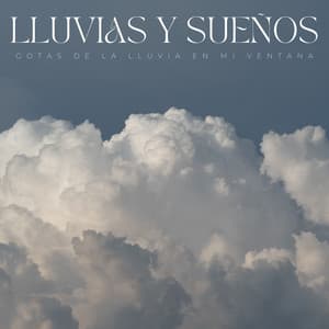 Lluvias Y Sueños: Gotas De La Lluvia En Mi Ventana - Lluvia Olivia