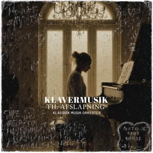 Klavermusik til Afslapning - Klassisk Musik Orkester