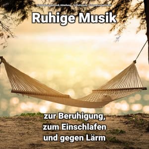 ! ! ! ! ! Ruhige Musik zur Beruhigung, zum Einschlafen und gegen Lärm - Entspannungsmusik Abteilung
