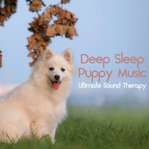 Deep Sleep Puppy Music: Ultimate Sound Therapy - Relaxmydog