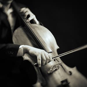 Orchestra Escape: Symphony for Calm - Charles Anderson