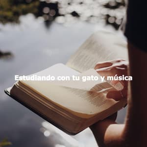 Estudiando con tu gato y música - Light Coffee & Jazz