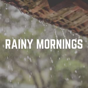 Rainy Mornings - Rain Sounds & White Noise