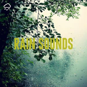 Rain Sounds - Nature Sounds Lab