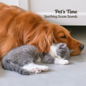 Pet's Time: Soothing Ocean Sounds - Sleeping Ocean Waves