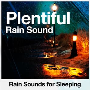 Plentiful Rain Sound - Rain Sounds for Sleeping