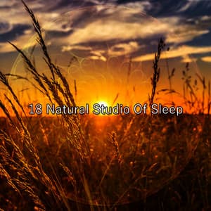 18 Natural Studio Of Sleep - Sound Library XL