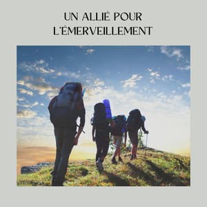 Un Allié Pour L'émerveillement - Ambiente