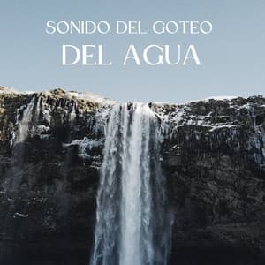 Sonido Del Goteo Del Agua - Estados de ánimo y sonidos de agua
